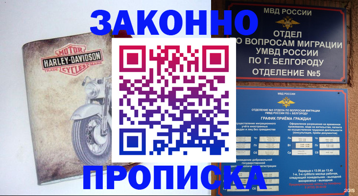 прописка для школы в Дальнереченске